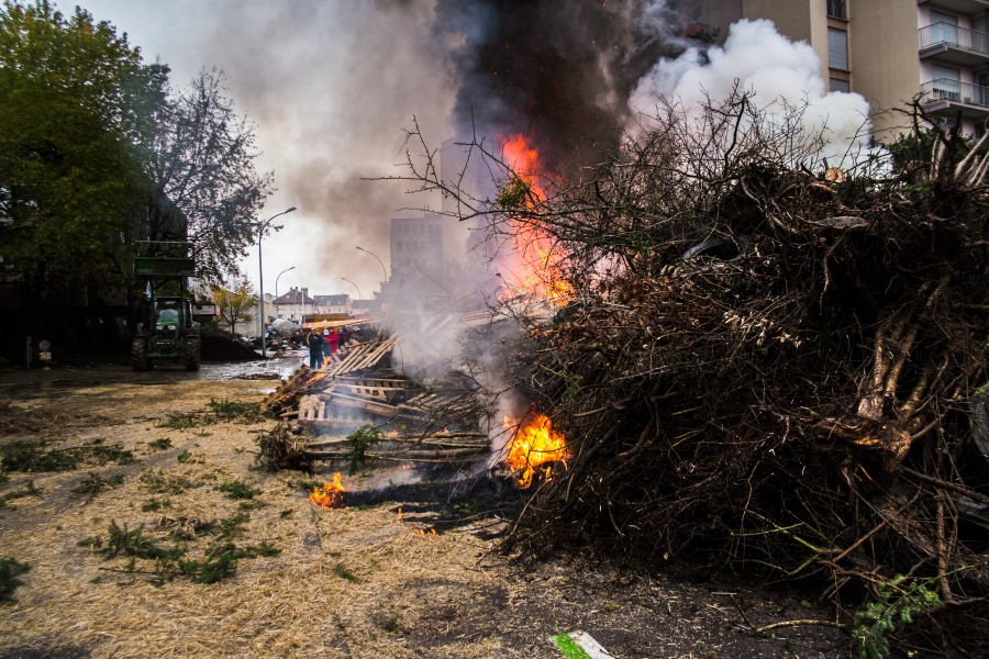 2014 11 05 Manif Agris Vesoul  DSCF3388